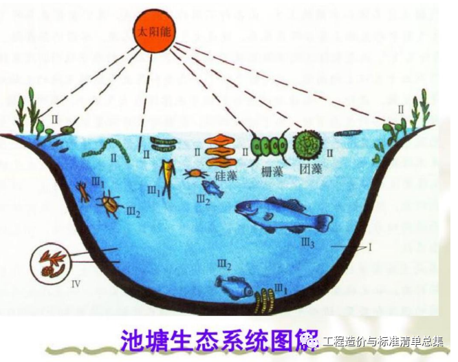 chap1-1